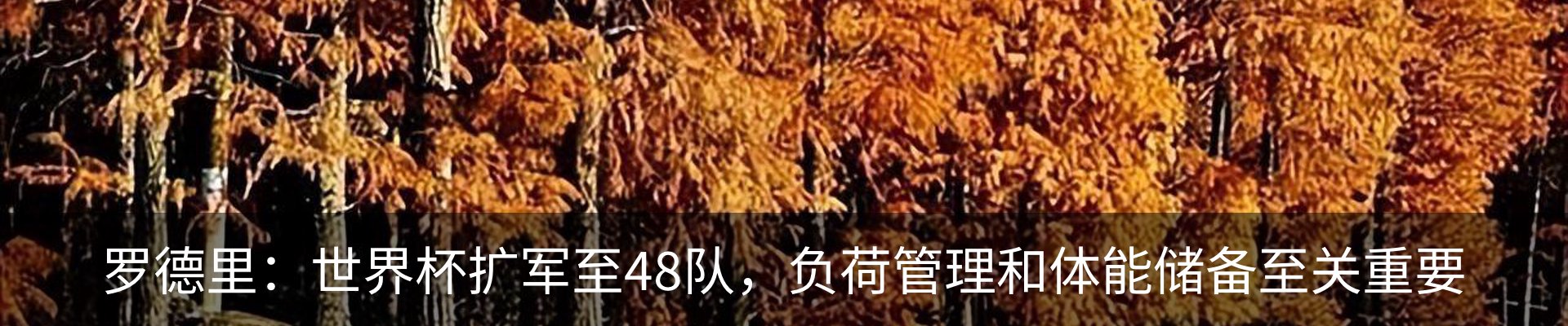资讯动态