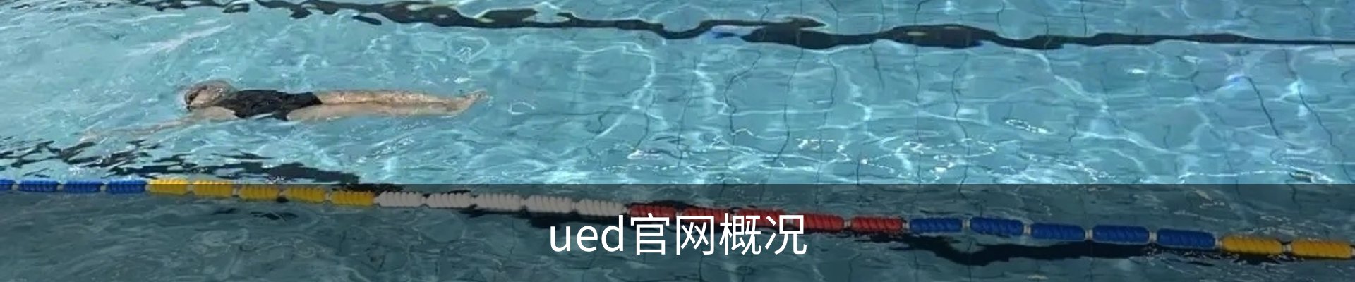 ued官网概况